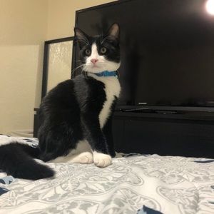 Meet your Posher, Nona